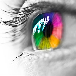 Same Day Calendar Printing